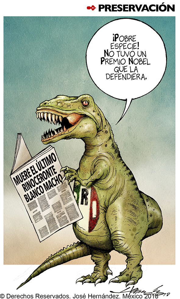Preservación